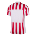 Atletico Madrid Home Custom Player Version Soccer Jersey 2025/26