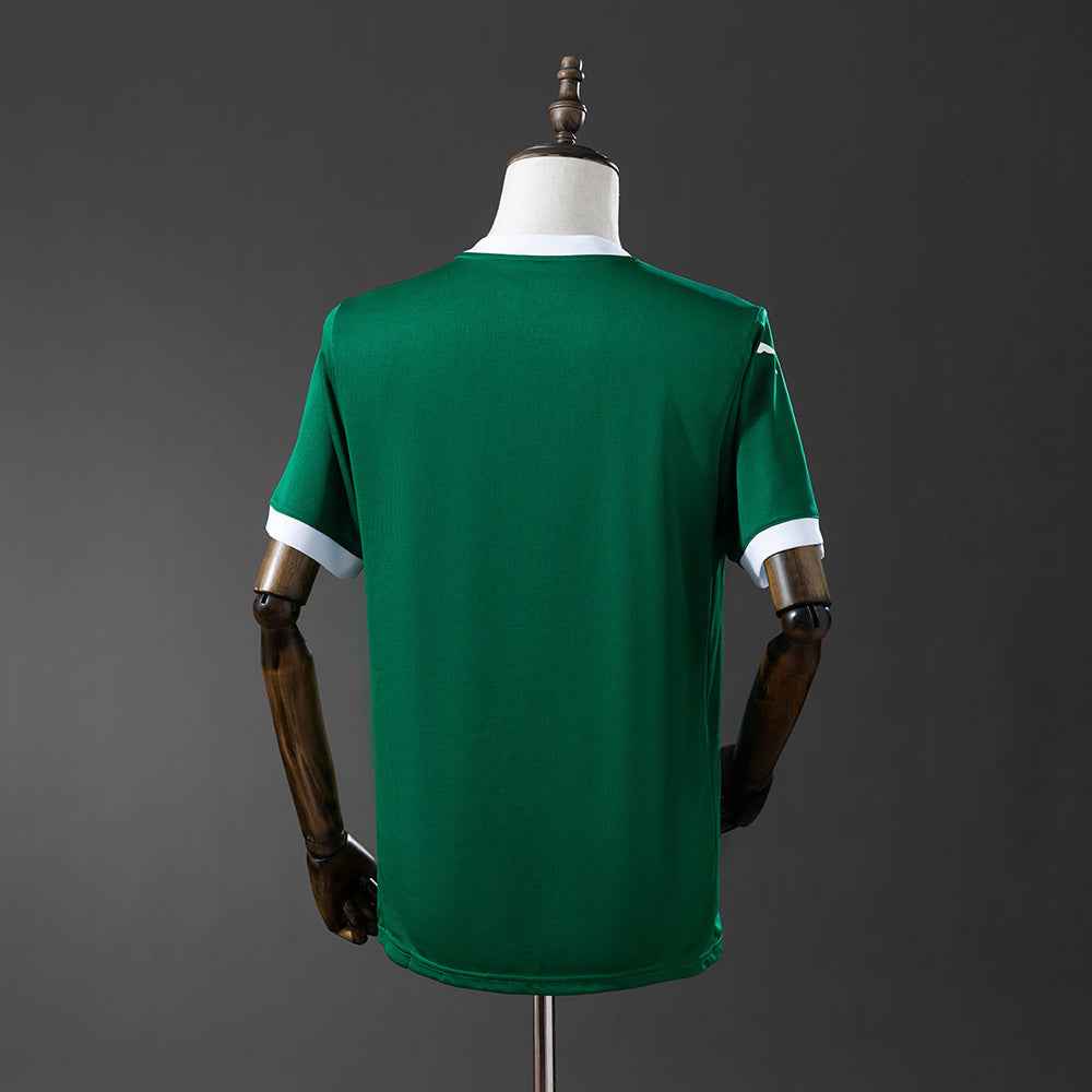 Palmeiras 25/26 Home