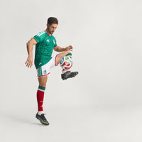 MEXICO 26