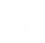 UEFA champions league
