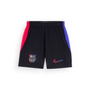 Barcelona Away Football Shorts 2024-25