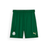 SE Palmeiras Away Football Shorts 2025