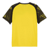 Borussia Dortmund Home Custom Player Version Soccer Jersey 2025/26