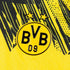 Borussia Dortmund Home Custom Player Version Soccer Jersey 2025/26