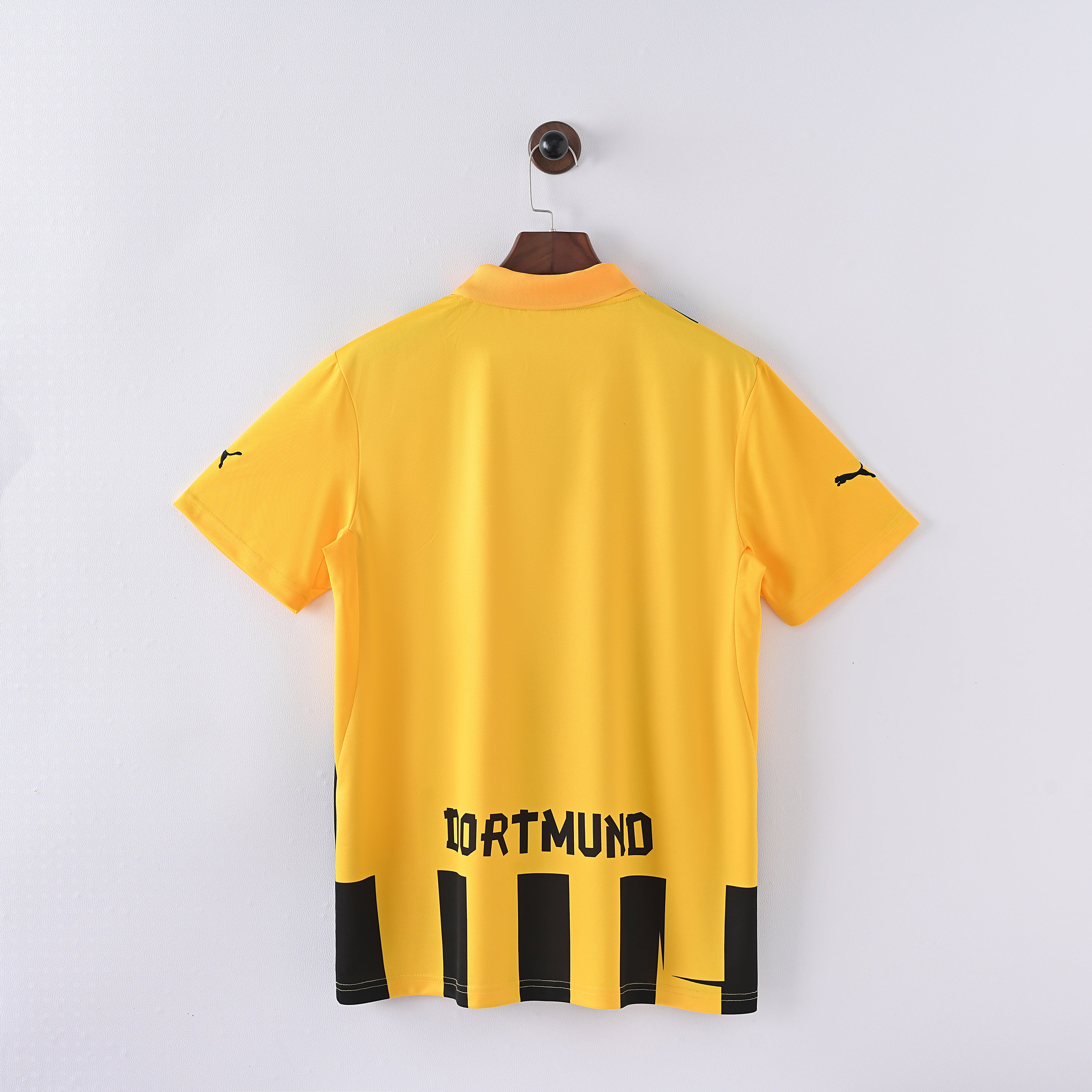 Dortmund 12/13