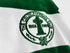 Glasgow Celtic – 1987/1989 Home Kit – Long Sleeves