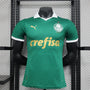Palmeiras 23-24