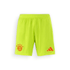Bayern Munich Goalkeeper Shorts 2024-25