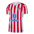 Atletico Madrid Home Custom Player Version Soccer Jersey 2025/26