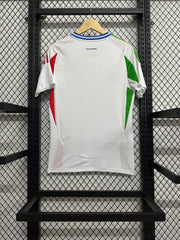 Italy 24/25(away)