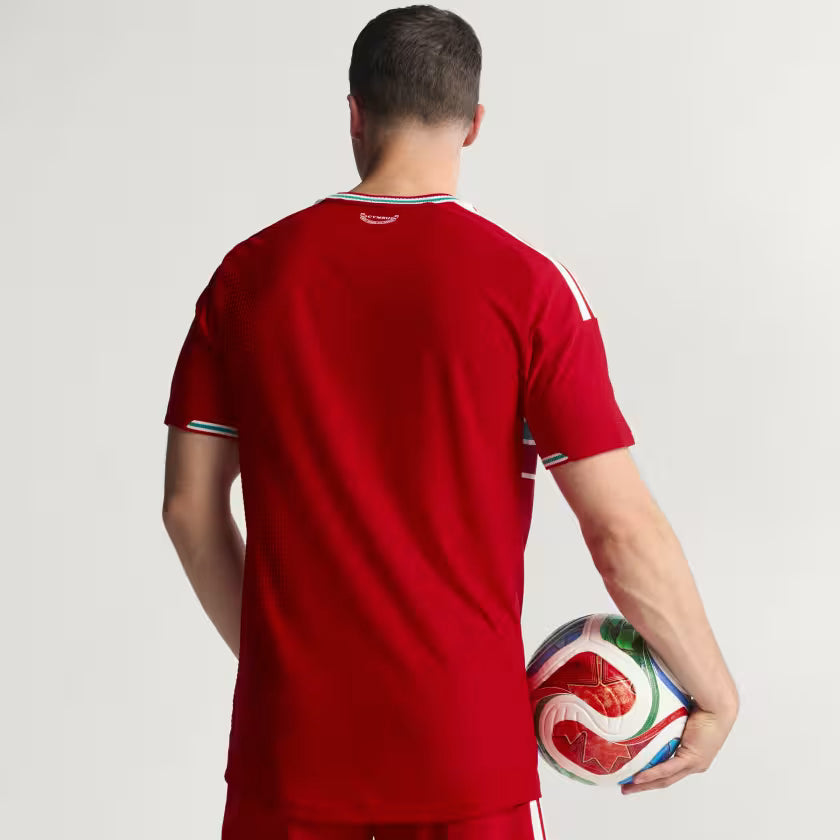 WALES 26