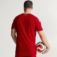 WALES 26