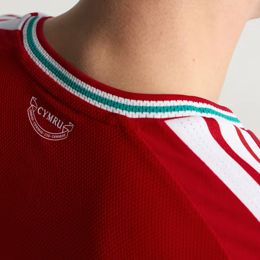 WALES 26