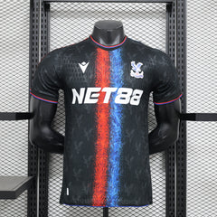 Crystal Palace 24/25(Third)