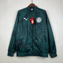 Palmeiras WindBreaker