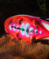Nike Mercurial Superfly 10 Elite 'Sam Kerr'